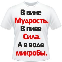 Футболка мужская сувенирная "Прик.надписи" р.44-56 А12007 серия1244